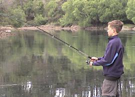 Fishing for brown trout